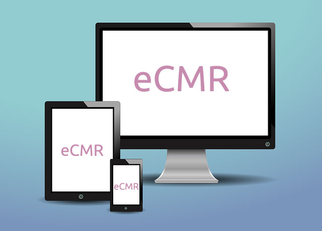 e-CMR